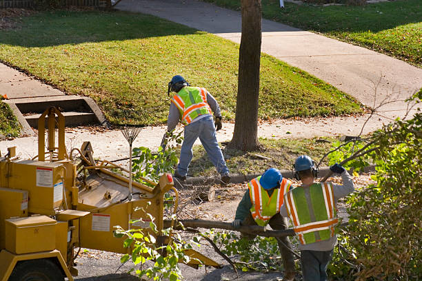 Best Tree Risk Assessment  in Temesl Valley, CA